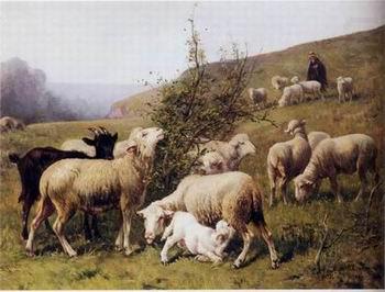 Sheep 165, unknow artist